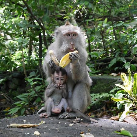 Pondok Penestanan Villa Ubud エクステリア 写真