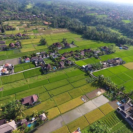 Pondok Penestanan Villa Ubud エクステリア 写真