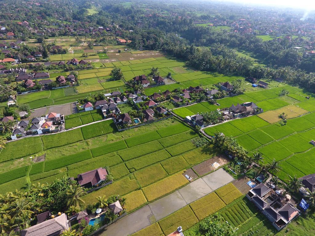 Pondok Penestanan Villa Ubud エクステリア 写真